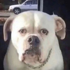 Meet your Posher, Zoe